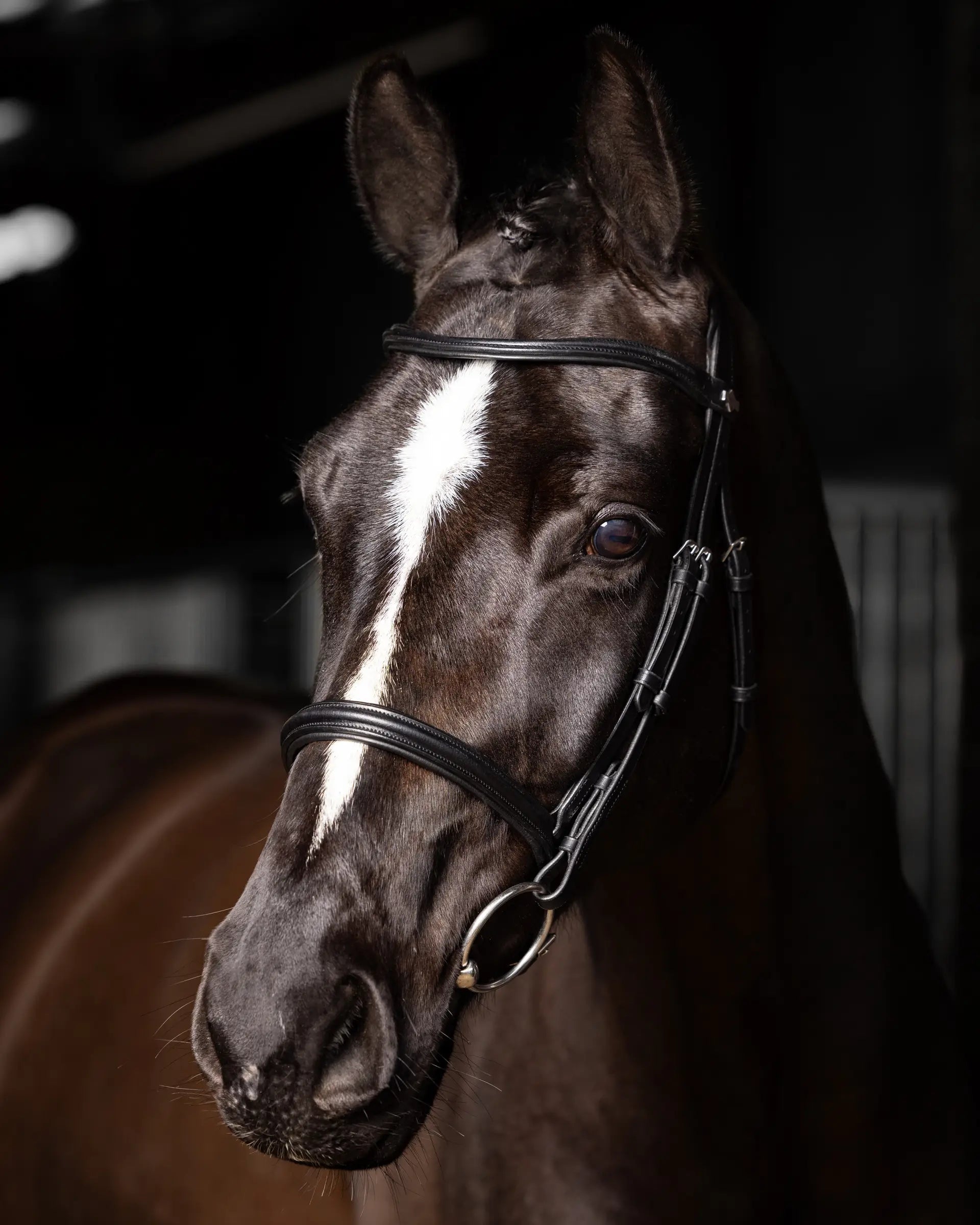 LeMieux Arika Cavesson Bridle Black/Silver