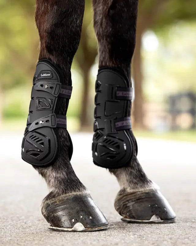 LEMIEUX Motion Cool Tendon Boots - Black Horse Leg Protection, Vented Equestrian Gear