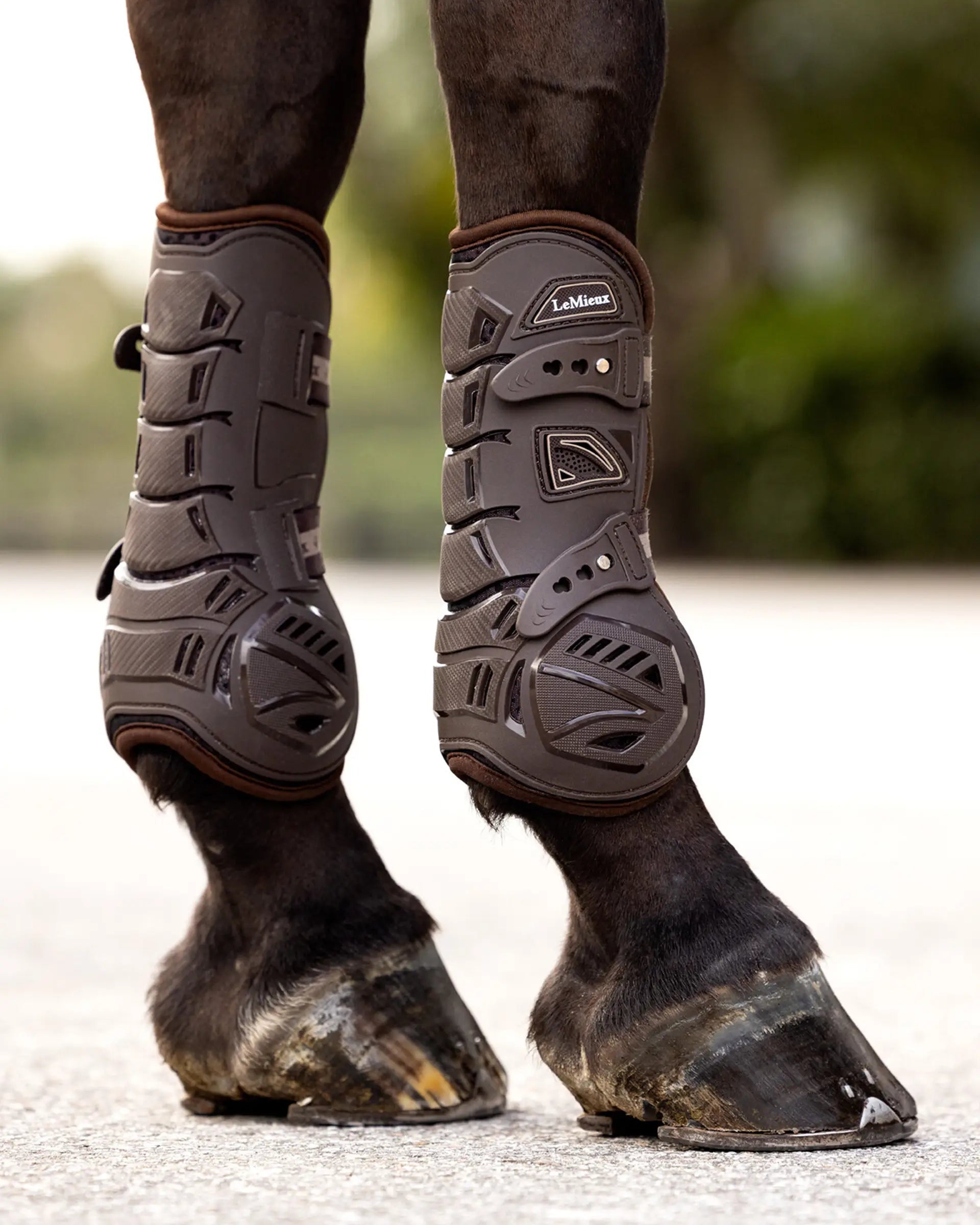 LeMieux Motion Cool Tendon Boots Brown: Equestrian Horse Leg Protection & Support