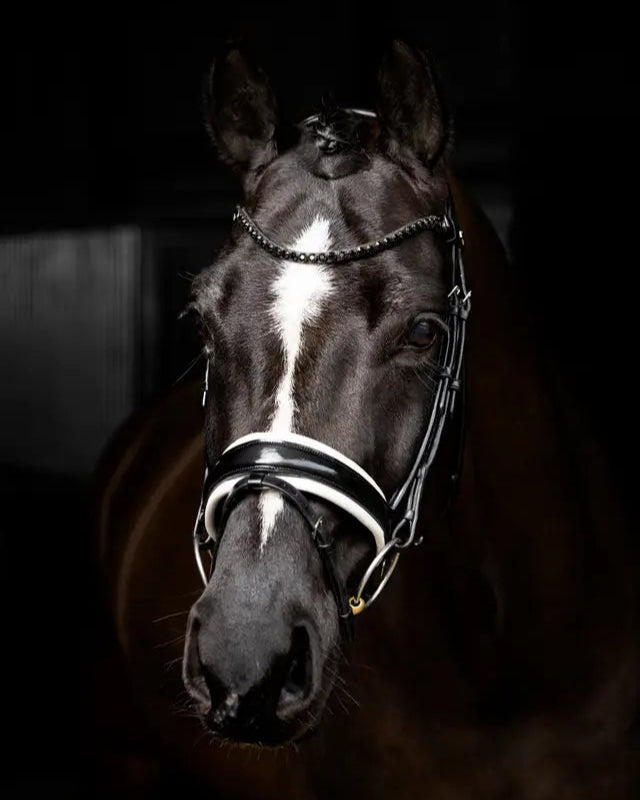 LeMieux Kudos Patent Dressage Bridle Black/White