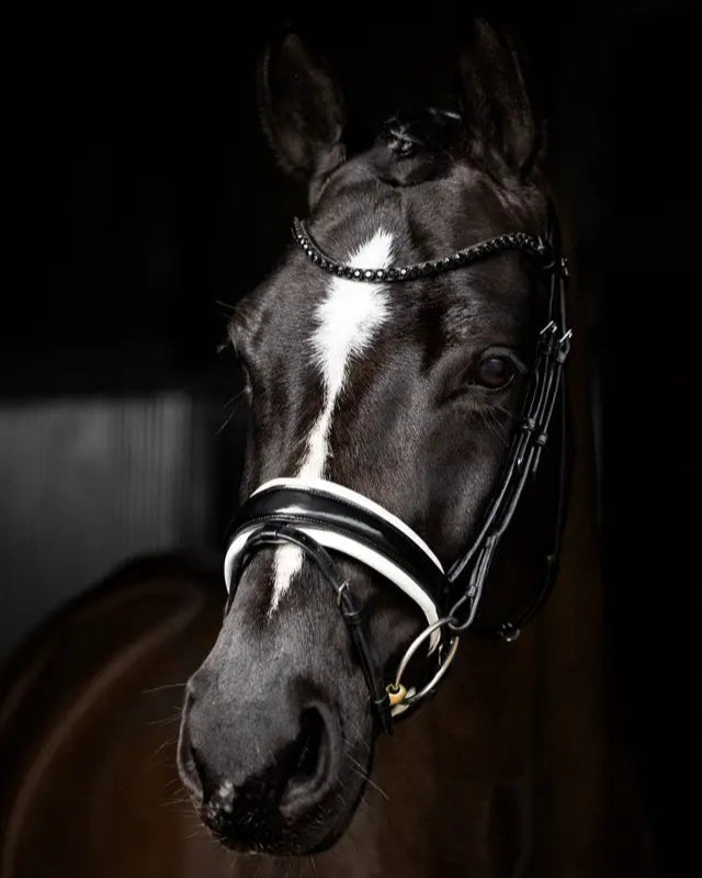 LeMieux Kudos Patent Dressage Bridle Black/White