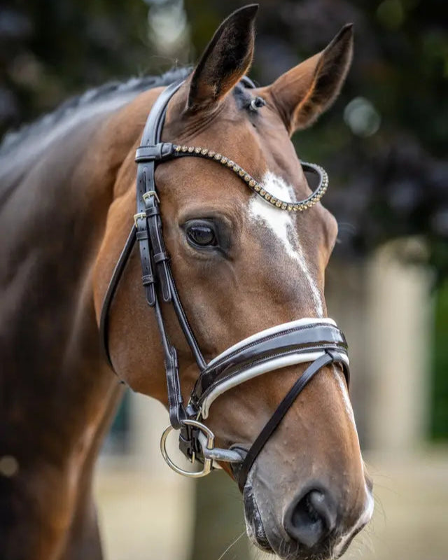 LeMieux Kudos Patent Dressage Bridle Brown/White