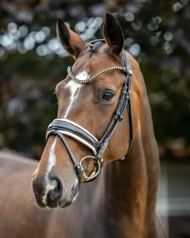 LeMieux Kudos Patent Dressage Bridle Brown/White