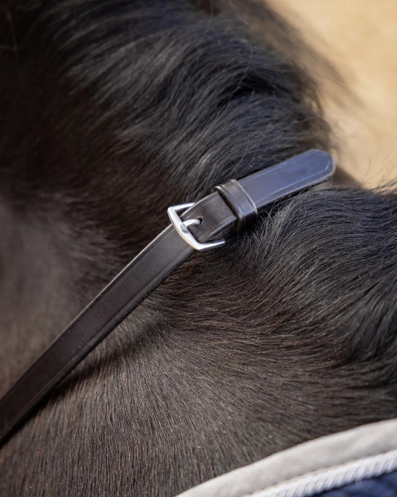 LeMieux Leather Laced Reins - Brown with Silver Buckle - Equestrian Horse Riding Equipment
