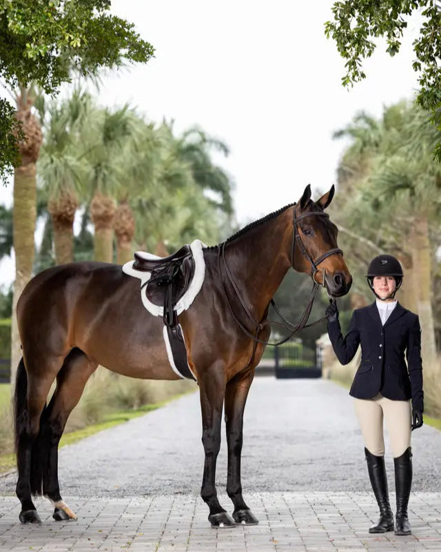 LeMieux Hunter Standing Martingale Havana/Silver