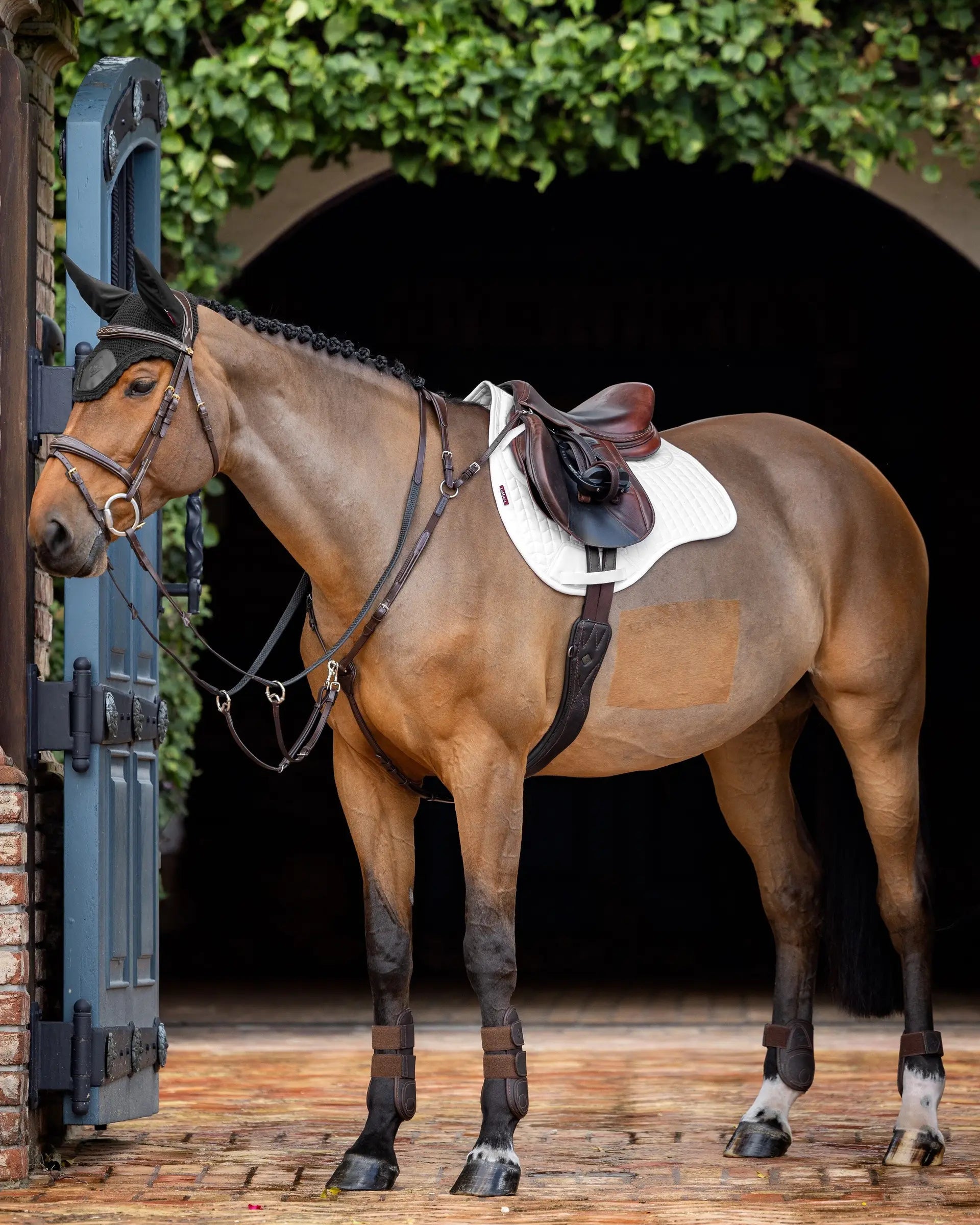 Lemieux ProSorb Plain 2 Pocket White GP Saddle Pad on a Brown Horse Ready for Riding