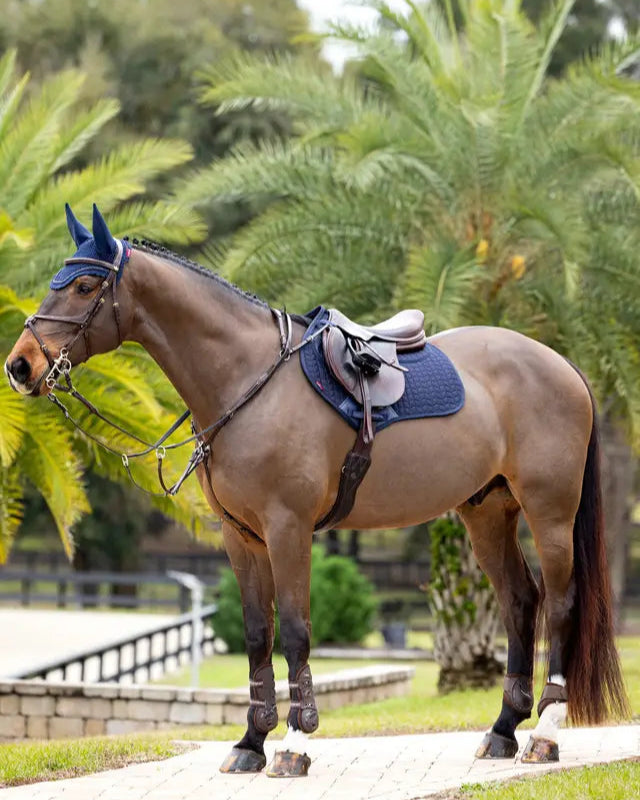 LEMIEUX ProSorb Navy Saddle Pad: Close Contact, 2 Pocket. Horse riding equipment by Equiflair
