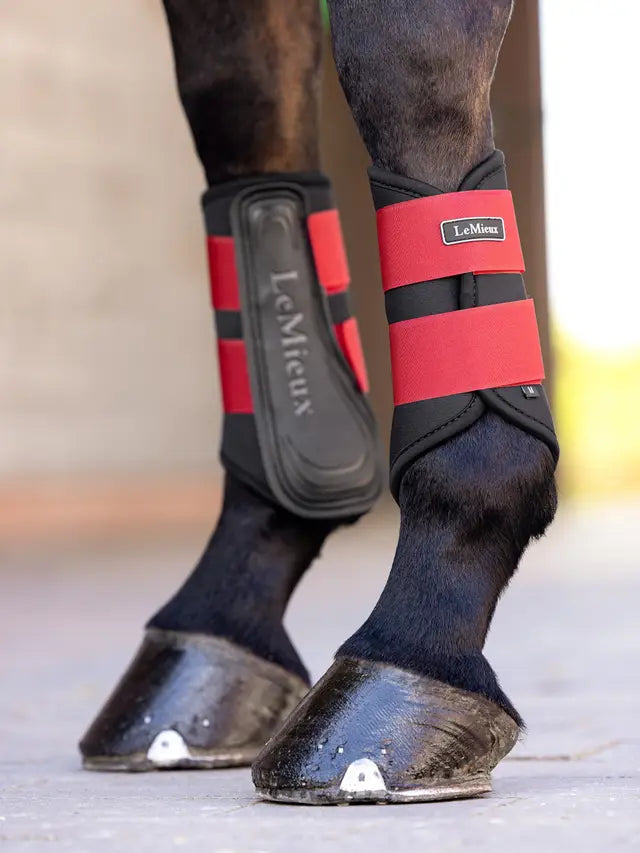 LEMIEUX GRAFTER BRUSHING BOOTS CHILLI: Durable Equestrian Leg Protection for Horses - Schooling, Competition, Turnout