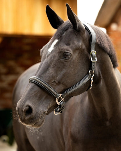 LeMieux Leather Crystal Headcollar Black