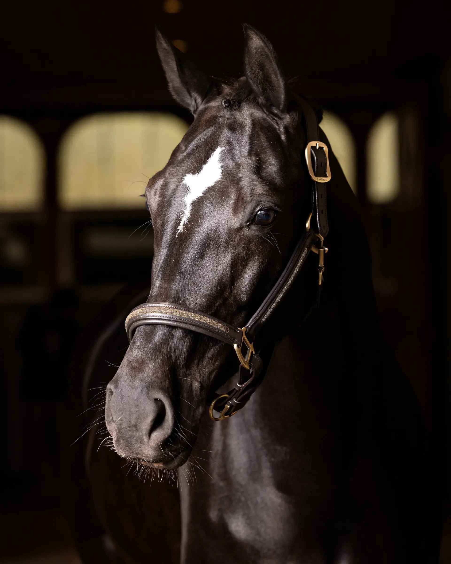 LeMieux Leather Crystal Headcollar Brown