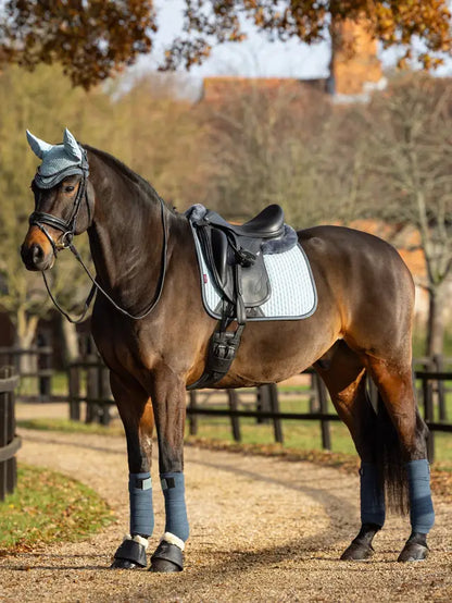 LeMieux Suede Dressage Saddle Pad on Horse: Glacier Blue Equestrian Style