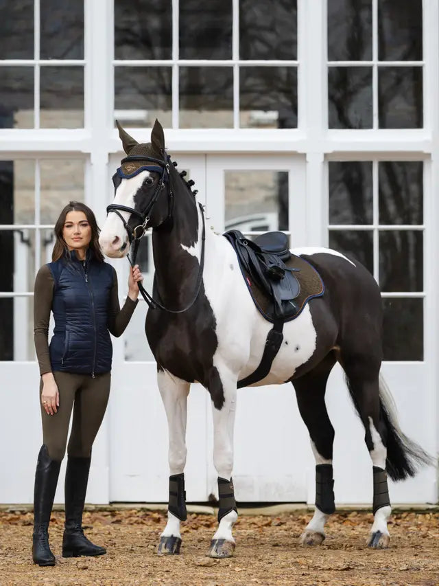 Horse with LeMieux Suede GP Square Alpine Saddle Pad from Equiflair
