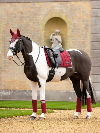 LeMieux Loire Classic Dressage Saddle Pad Ember on Horse | Riding Gear