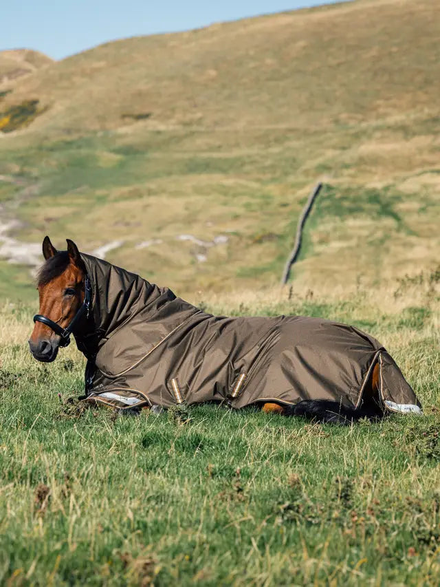Brown Horse in Lemieux Arika Turnout Rug on Field | Equiflair