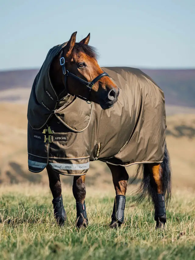 Horse wearing a Lemieux Arika Ripstop 200g turnout rug alpine, horse blanket, equine apparel.