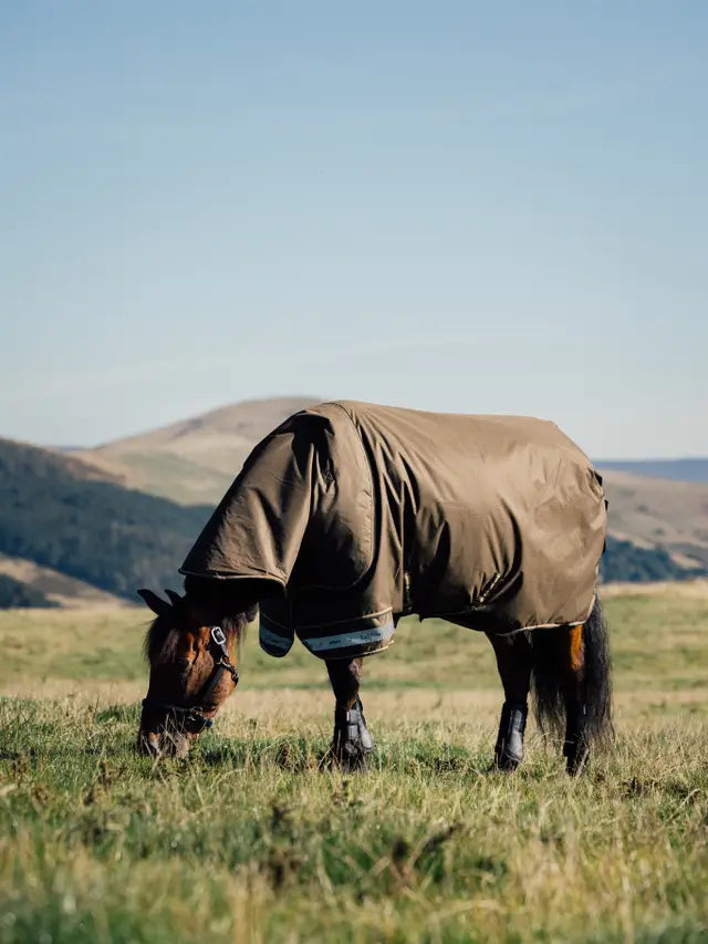 Horse Grazing in Field Wearing LEMIEUX ARIKA Turnout Rug - Equiflair Saddlery