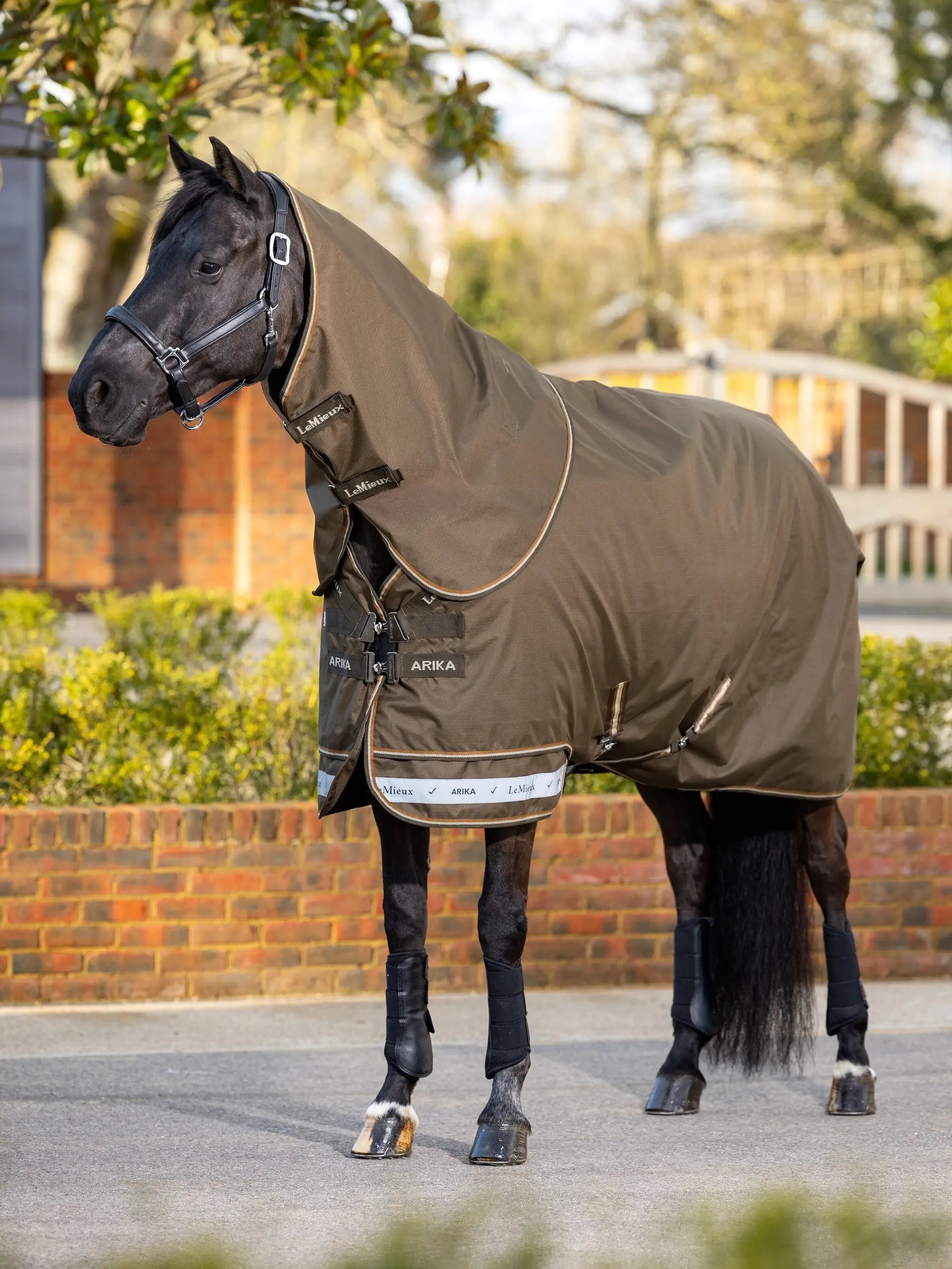 Black Horse Wearing LeMieux Arika Alpine Ripstop Turnout Rug | Equiflair Saddlery
