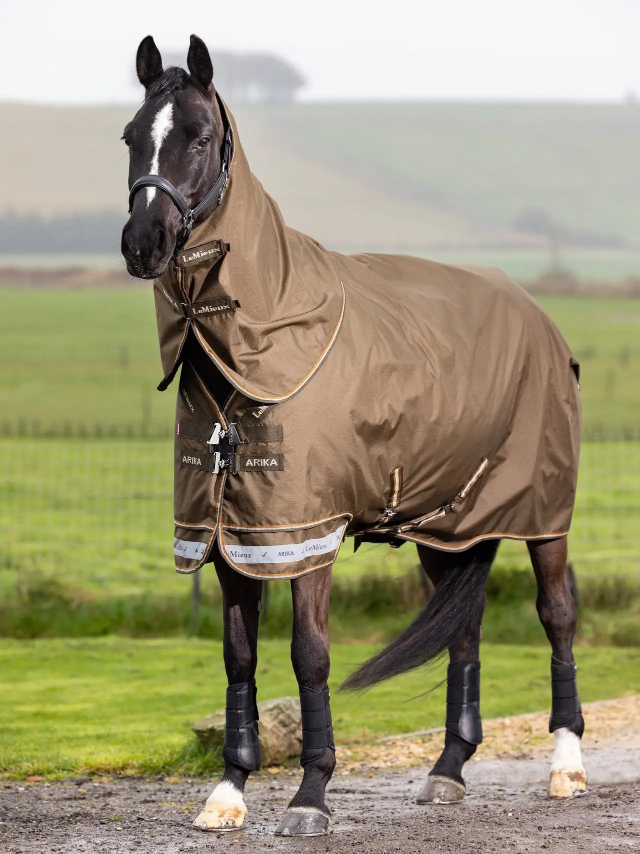Lemieux Arika Ripstop Horse Turnout Rug - Alpine. Waterproof & Breathable equine outdoor wear.