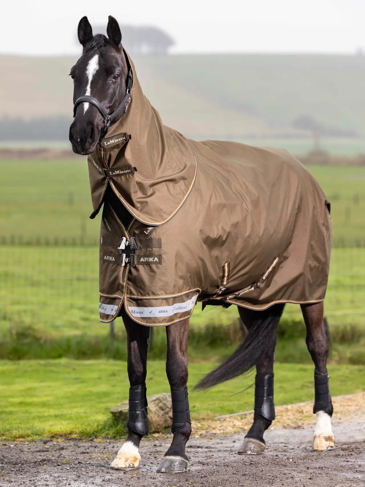 LeMieux Arika Ripstop 200g Turnout Rug Alpine: Waterproof equine rug for field protection, shine enhancing, with detachable neck.