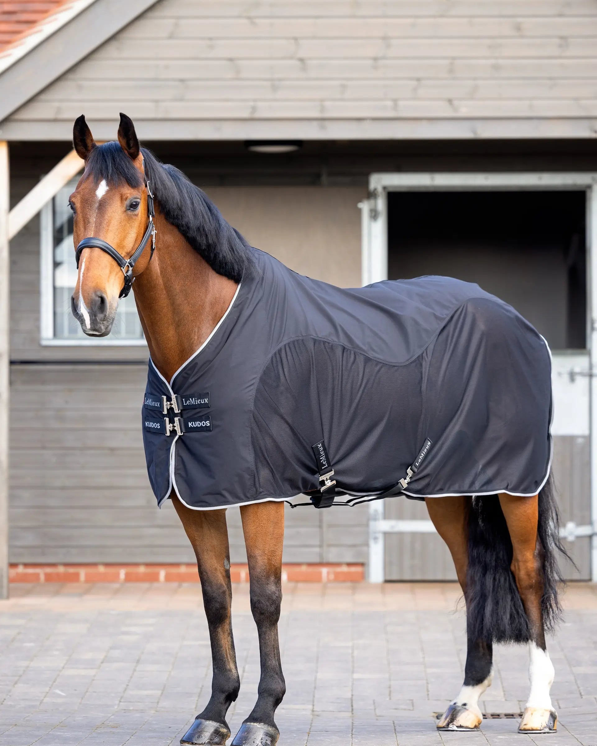 LEMIEUX KUDOS Hybrid Cooler Black Horse Rug | Equiflair: Post-Exercise Cooling, Anti-Bacterial, Anti-Static, Travel Friendly.