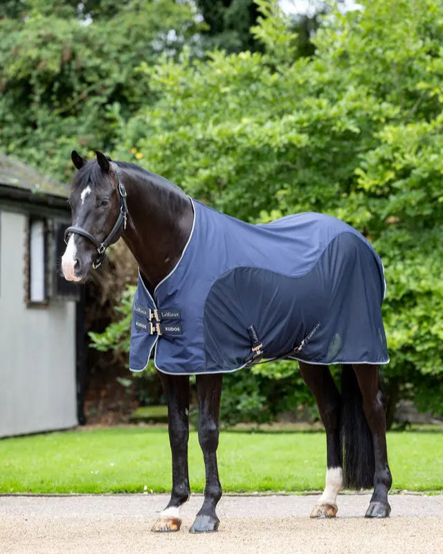 Lemieux Kudos Hybrid Cooler Navy Horse Rug: Cooling & Recovery