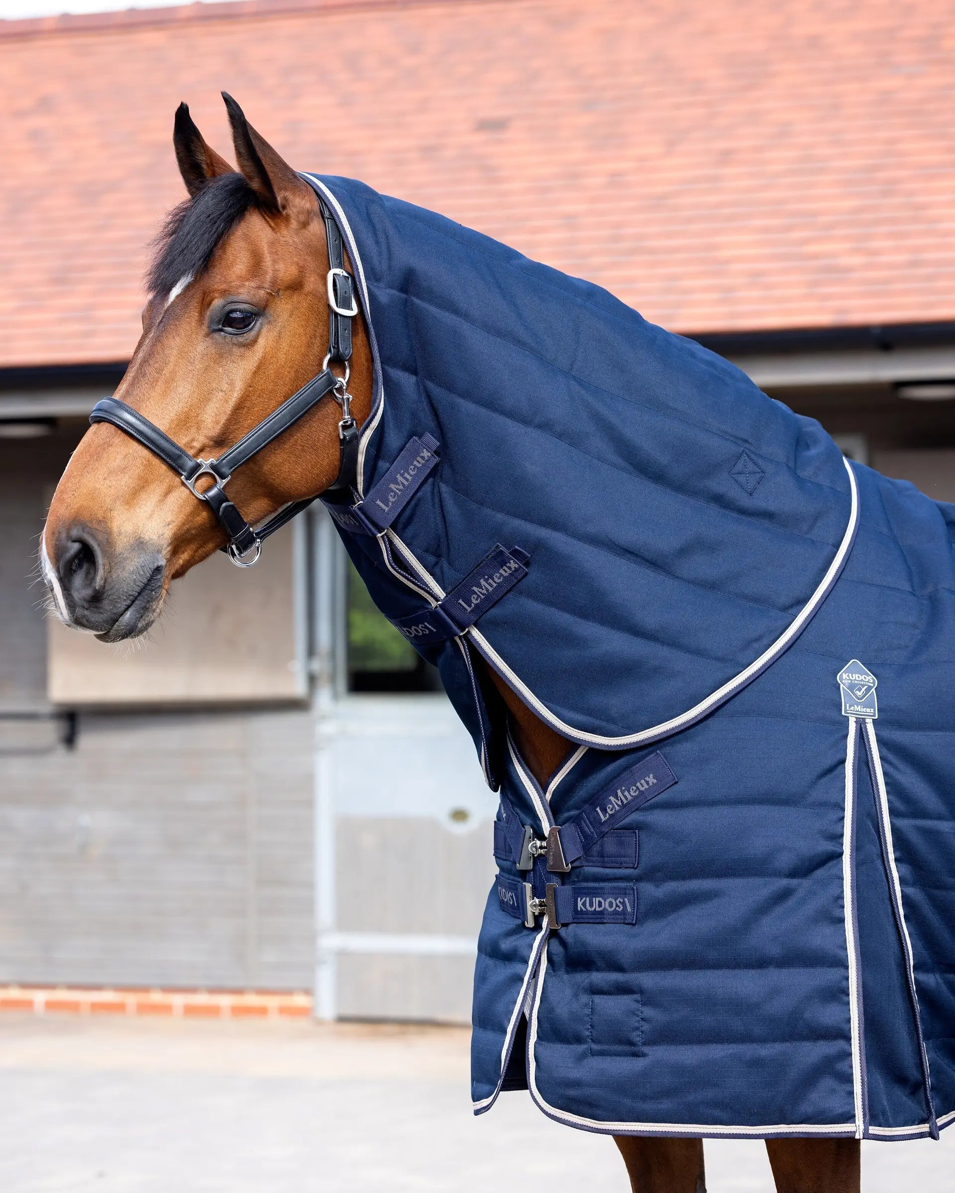 LeMieux Kudos Stable Neck Cover on Brown Horse: Comfort & Protection