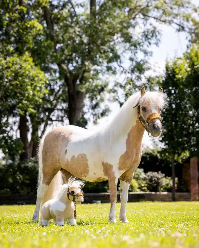LeMieux Toy Pony Lemon