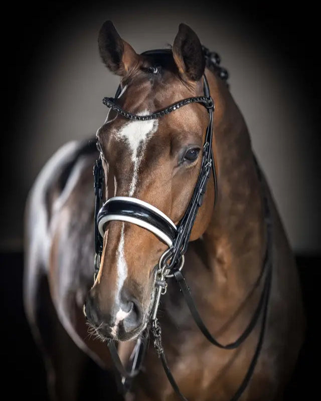 LeMieux Kudos Double Bridle Black/White