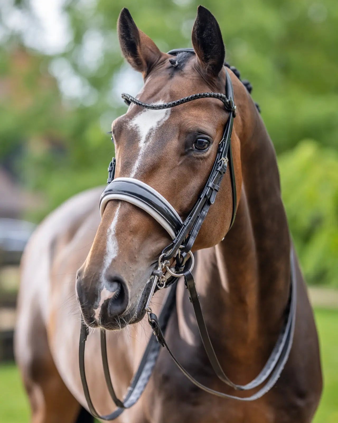 LeMieux Kudos Double Bridle Black/White