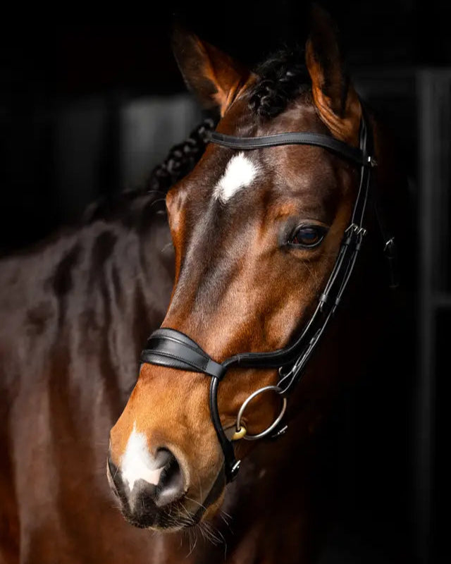 LeMieux Arika Adjustable Anatomic Noseband Bridle Black/Silver