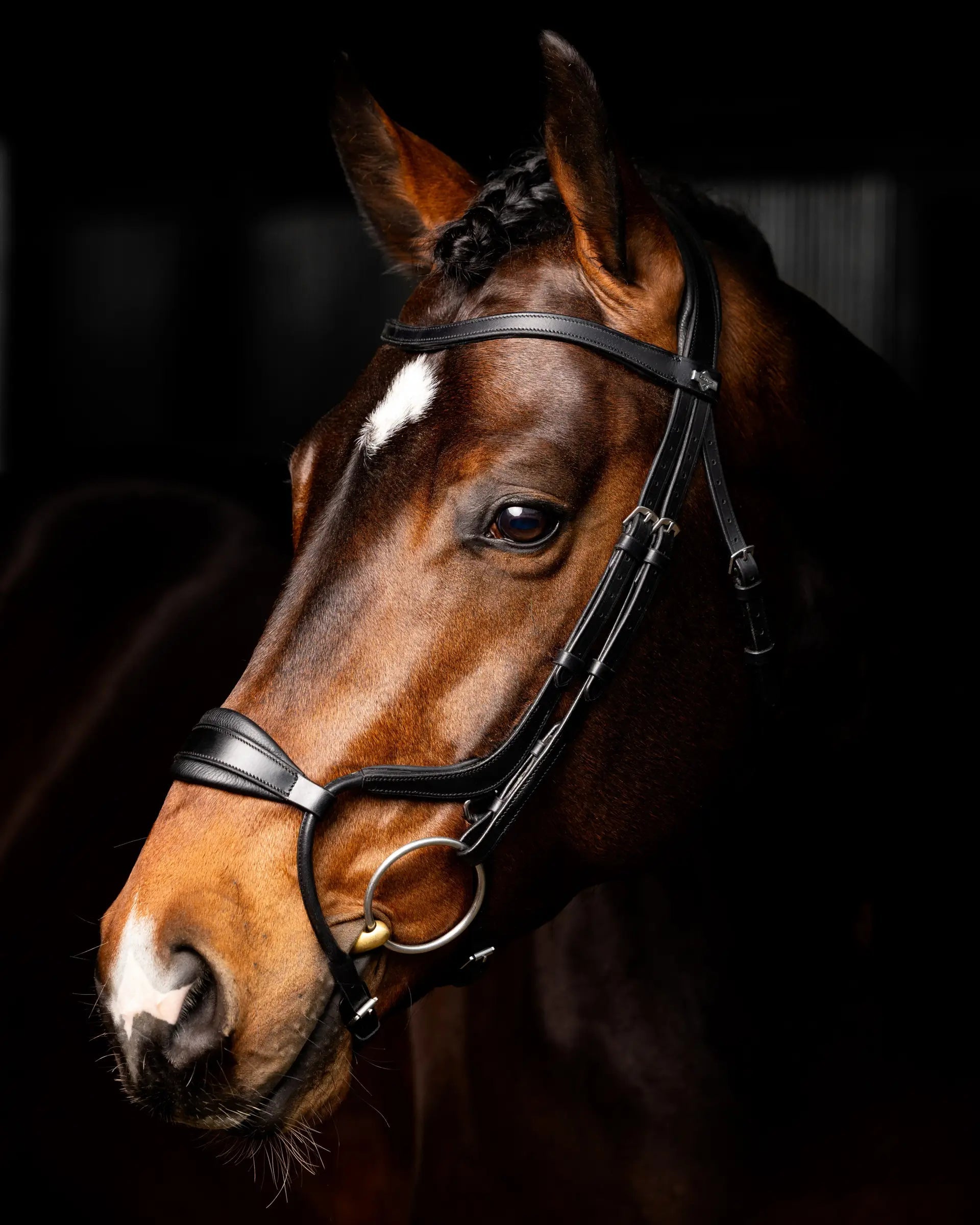 LeMieux Arika Adjustable Anatomic Noseband Bridle Black/Silver