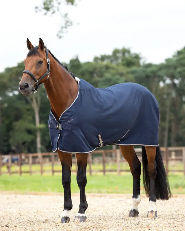 LEMIEUX Kudos Stable Sheet Navy - Horse Stable Blanket by Equiflair - Stylish Horse Protection