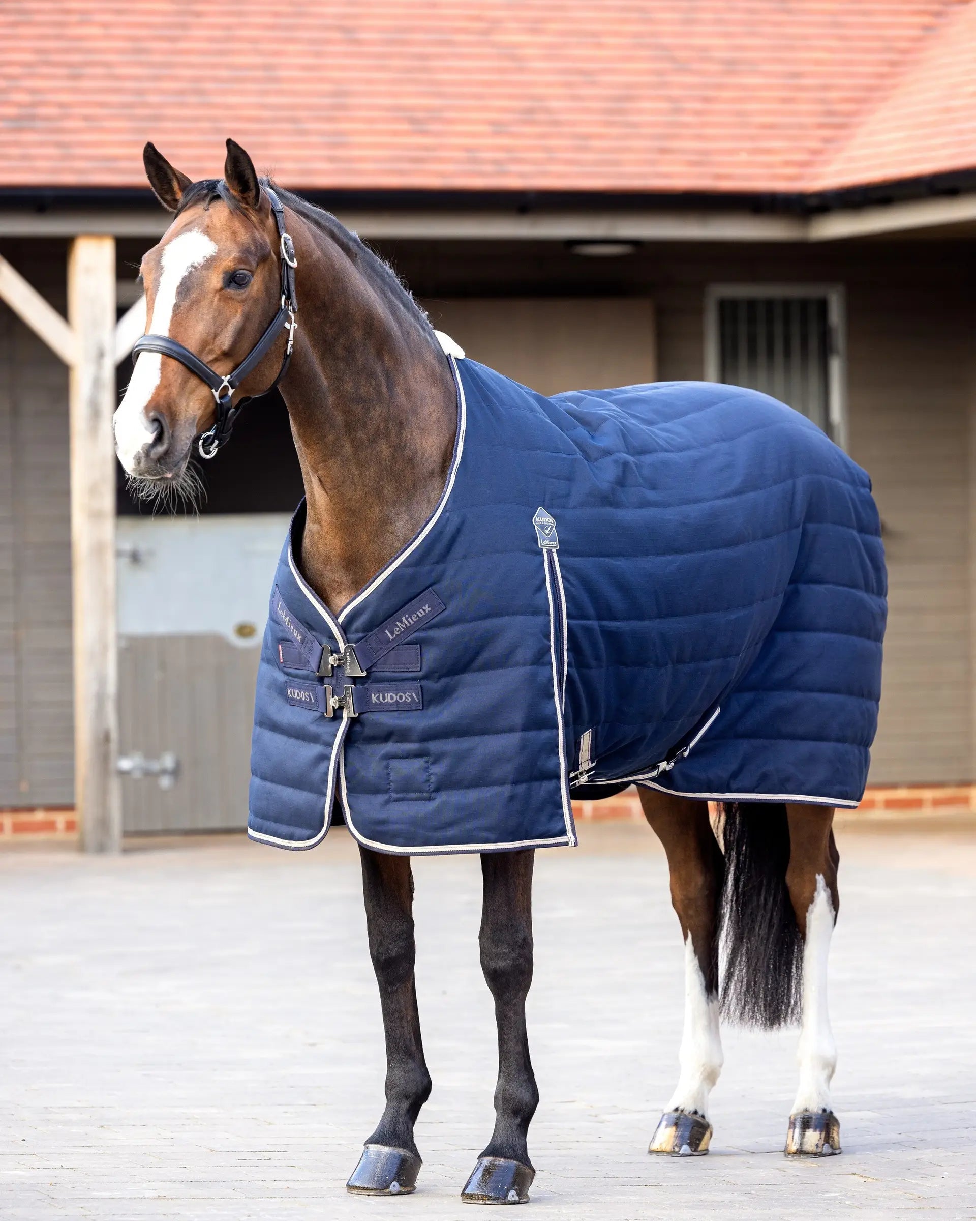 LEMIEUX KUDOS Stable Rug 100G Navy - Horse in a navy blue stable rug by LeMieux from Equiflair.