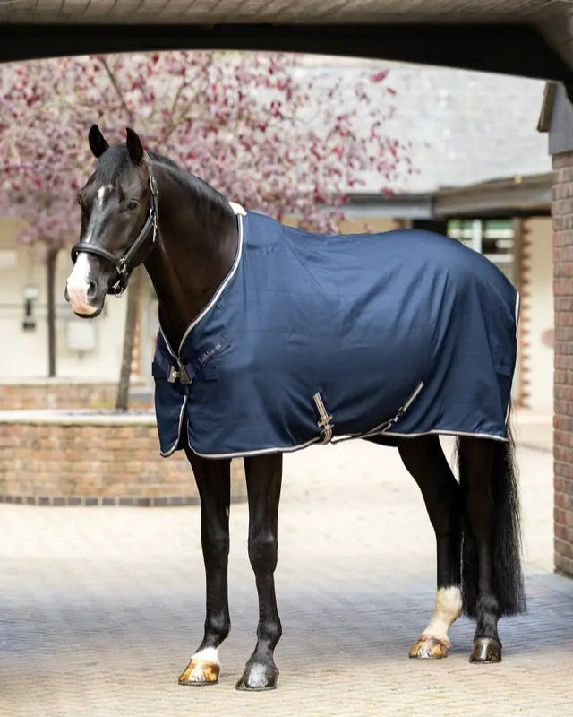 LeMieux Kudos Stable Sheet Navy: Horse wearing a blue stable sheet by Equiflair.