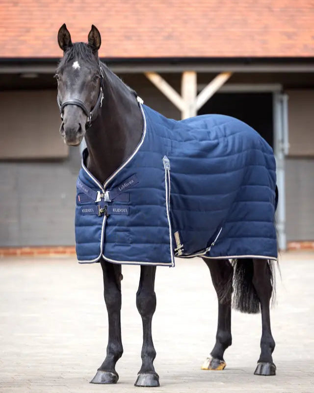 LeMieux Kudos Stable Rug 200G Navy at Equiflair: Horse wearing a blue stable rug. #LeMieux #StableRug #EquineFashion