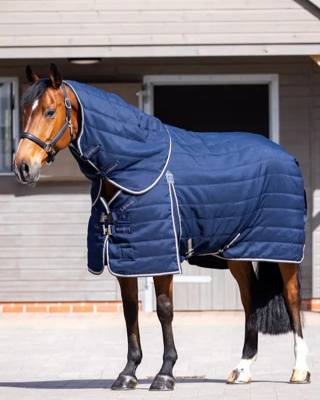 Lemieux Kudos Stable Neck Cover 100G Navy on a horse in stable. Warm & cozy microfibre lining, antibacterial & anti-static properties.