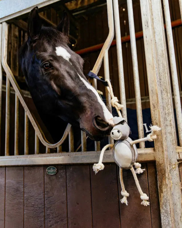 LeMieux Horse Toy Donkey: Fun Stable Toy for Horses, Interactive Play