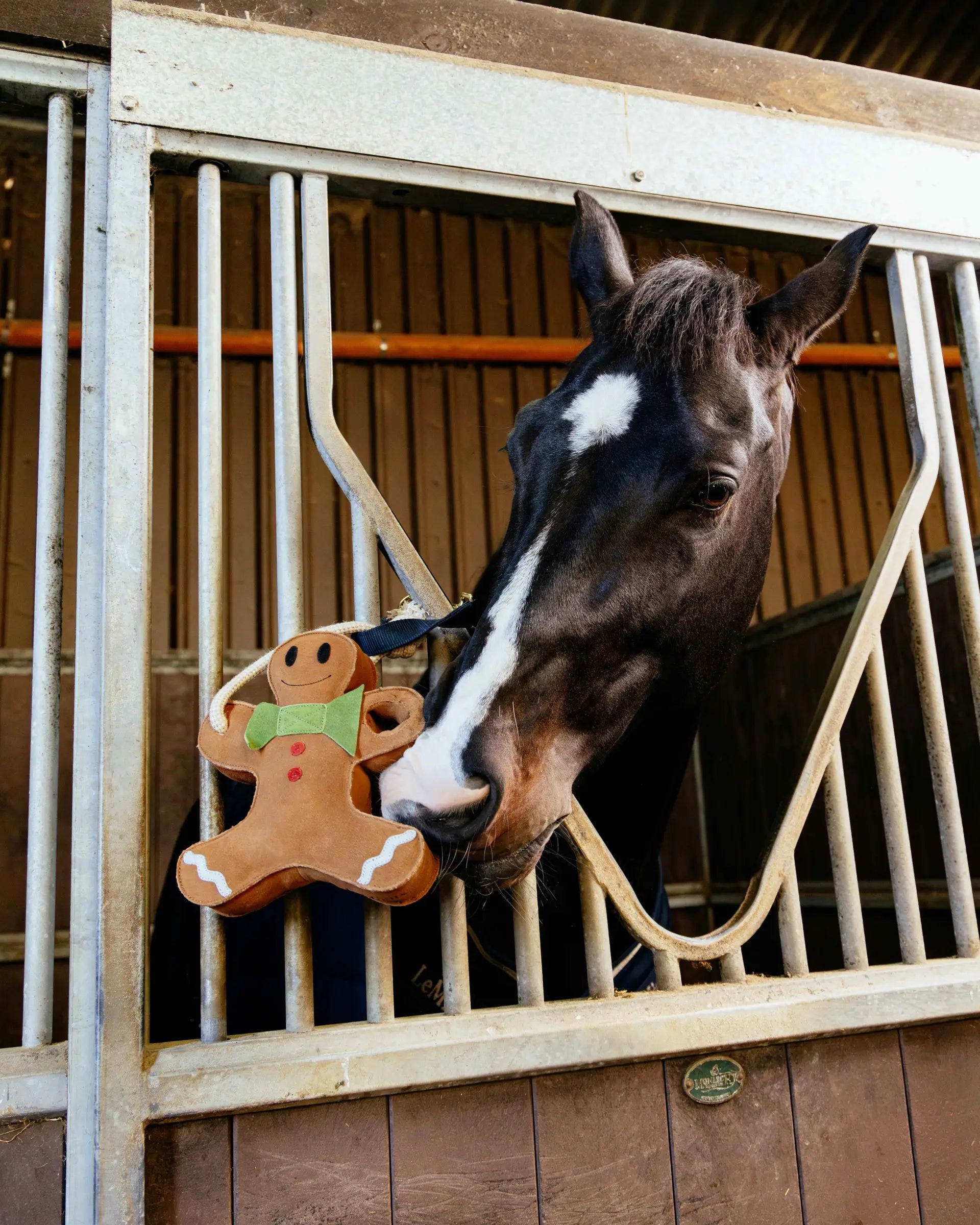 Horse with LEMIEUX Gingerbread Toy in Stable - Equine Enrichment and Fun!