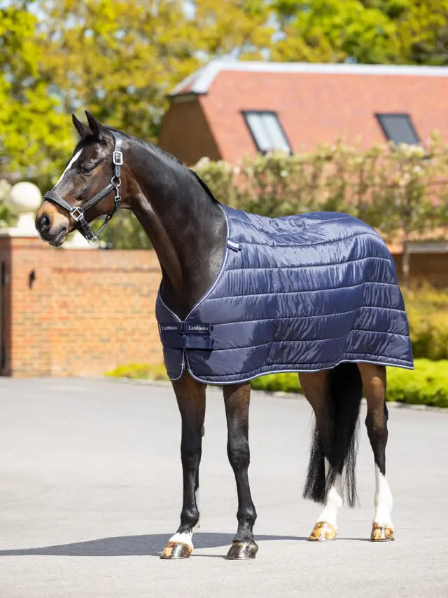 LeMieux Rug Liner 100g on a Dark Bay Horse Outdoor, Full Body Equestrian Blanket, Equine Temperature Control