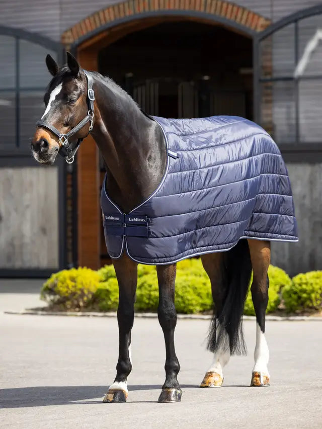 LeMieux 100g Horse Rug Liner from Equiflair: Equine Blanket, Warm Layer, Stable & Turnout Rug Compatibility, Horse Apparel