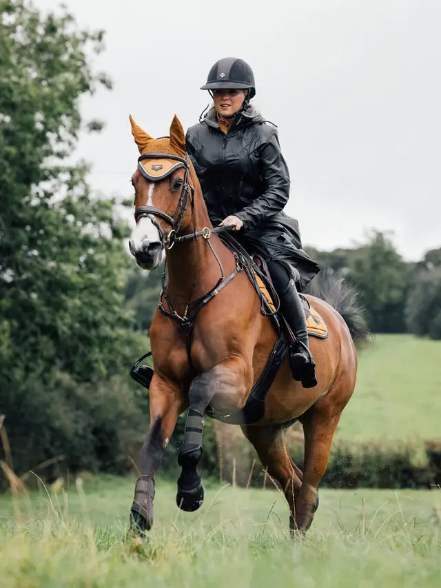 Chestnut Horse and Rider in Lemieux All Elements Coat. Equestrian Sport, Horseback Riding Gear. Weatherproof Coat.