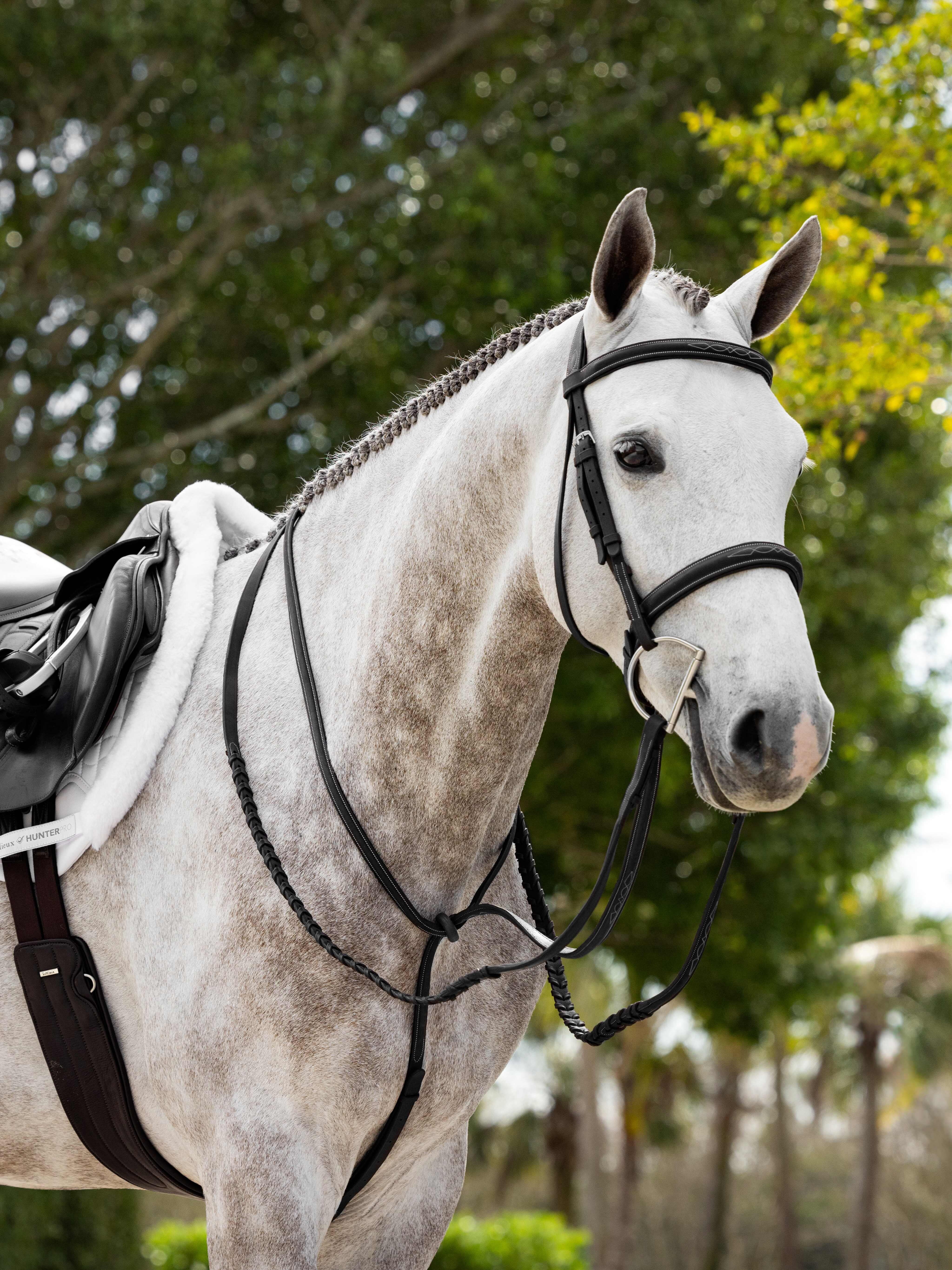 LEMIEUX HUNTER Standing Martingale Black Leather, Equiflair equestrian tack