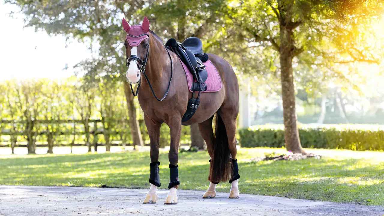 LeMieux Essence Dressage Square Rosewood Saddle Pad on Horse - Equiflair