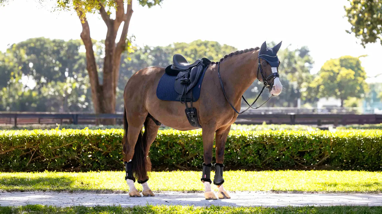 LeMieux Essence Dressage Square Navy Saddle Pad - Horse Riding Equipment