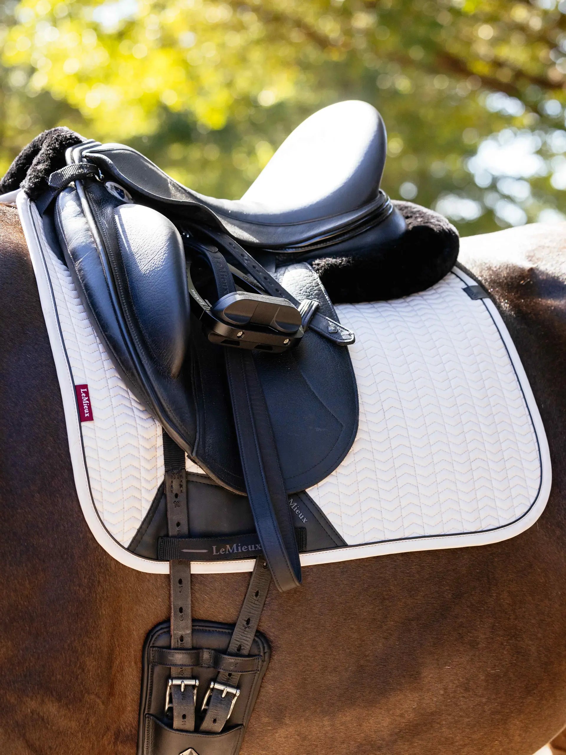 LeMieux Essence Dressage Square Stone Saddle Pad | Equestrian Horse Riding Accessory