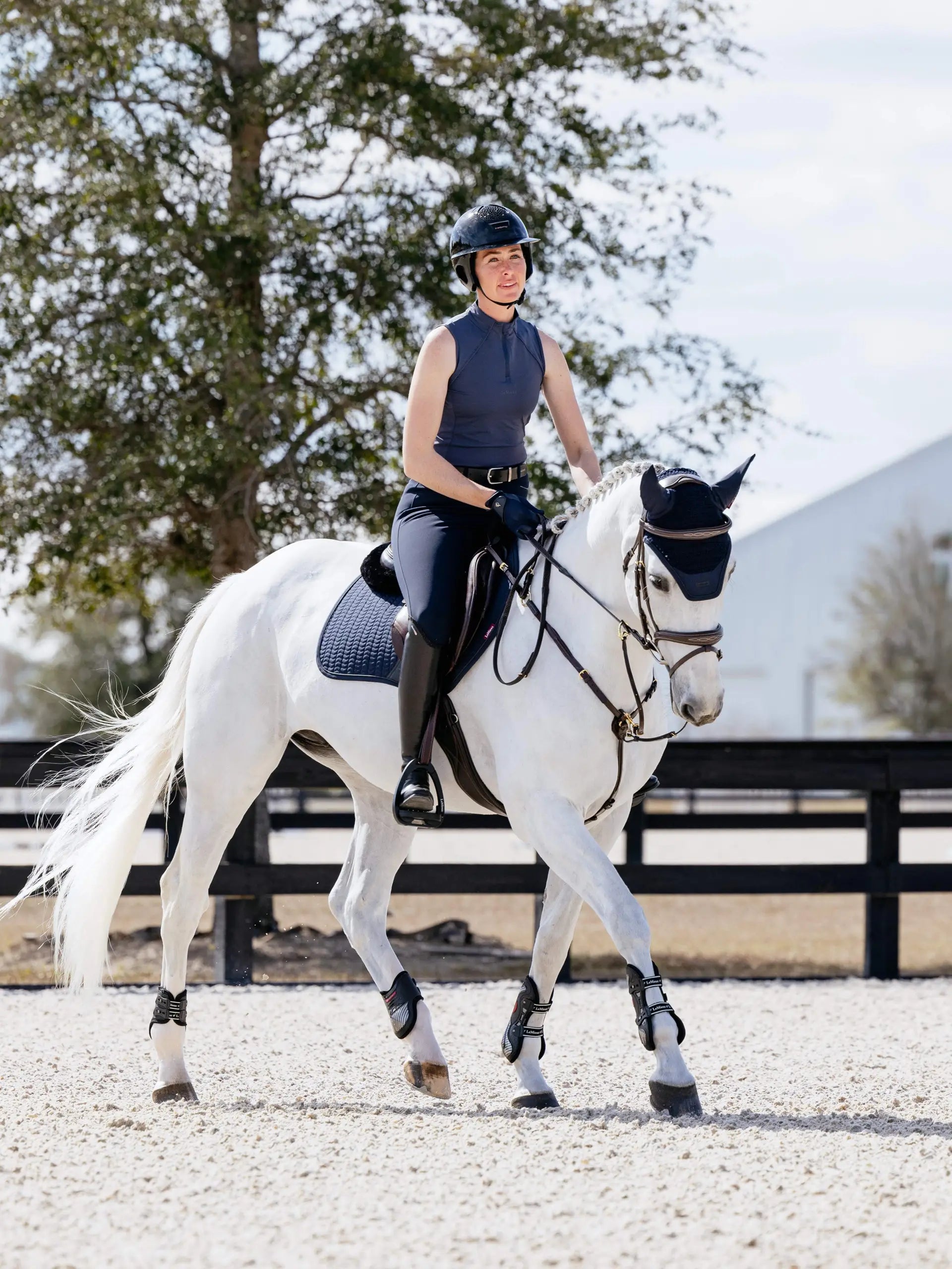 Dressage Horse & Rider LeMieux Essence Eurojump Square Saddle Pad Navy. White Horse. Equestrian Sport.