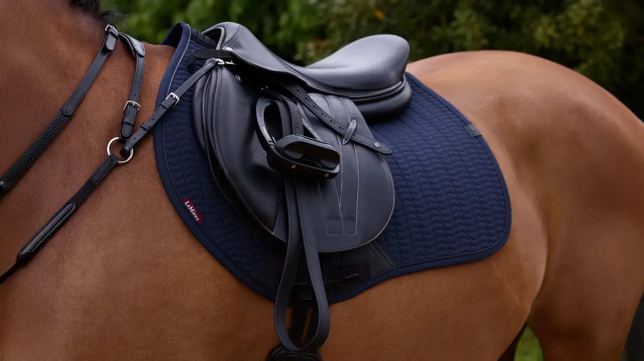 Lemieux Essence Eurojump Square Navy Saddle Pad on Horse - Equestrian Riding Gear