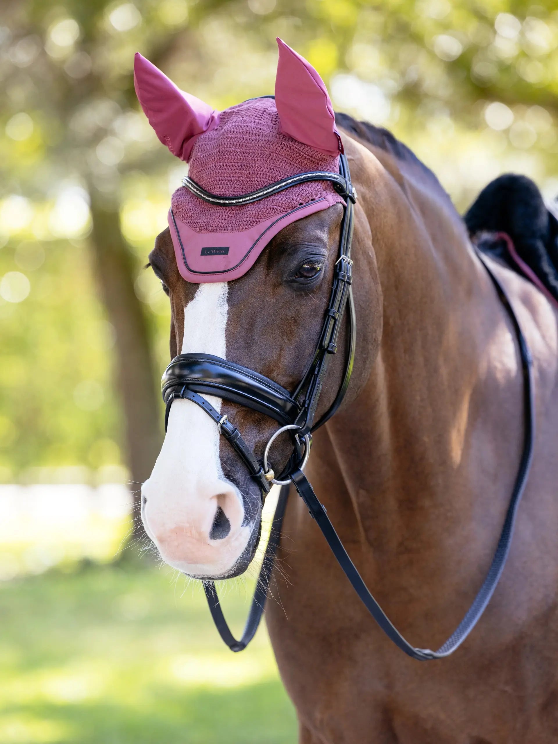LeMieux Essence Fly Hood Rosewood: Stylish equestrian ear net for horse fly protection. Shop at Equiflair!