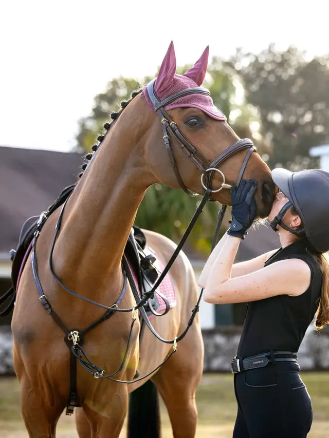 LeMieux Acoustic Fly Hood Rosewood on Horse, Rider Affectionate. Equiflair Horse Riding Equipment.