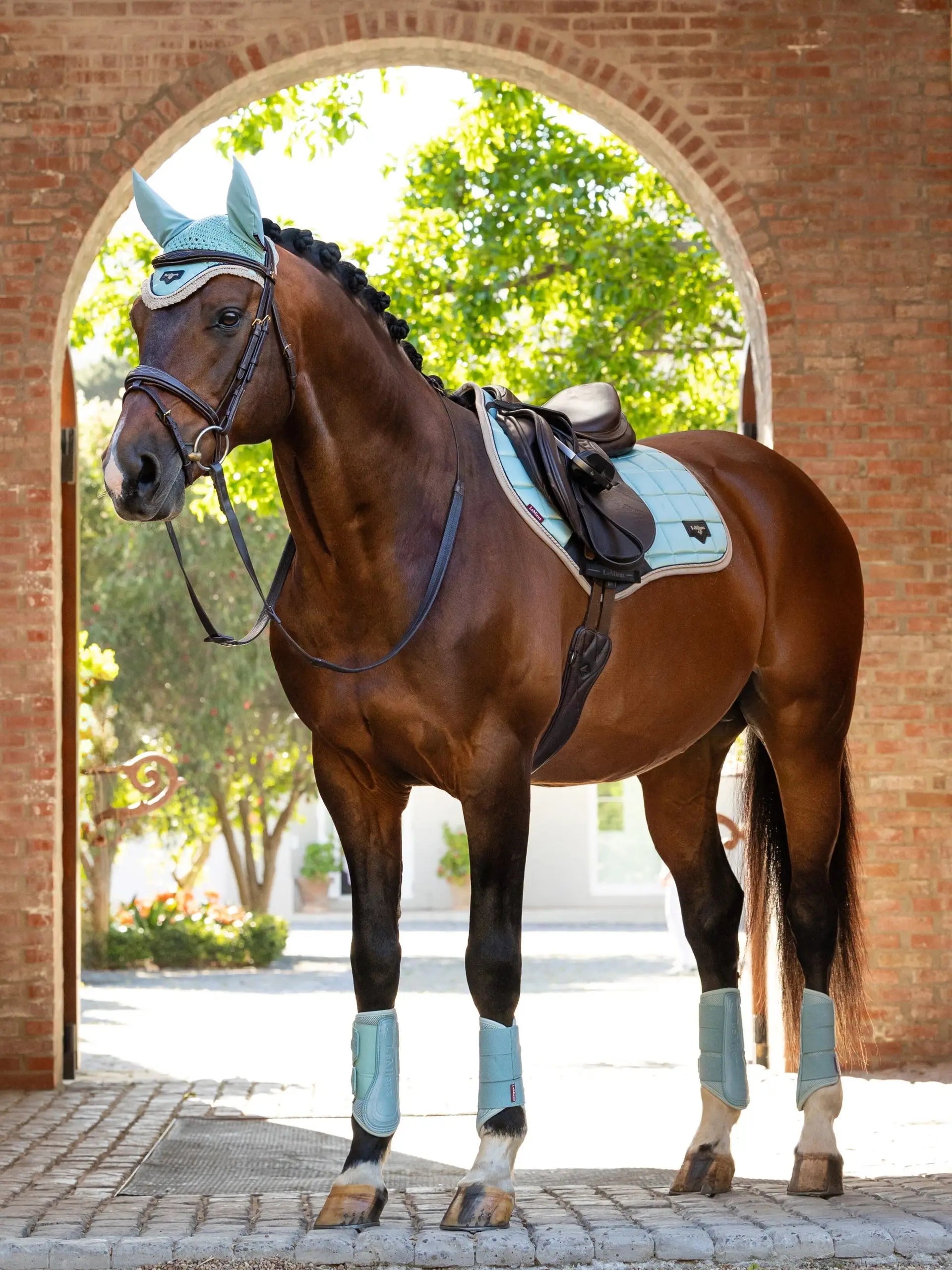 Bay horse in Lemieux Loire Aqua tack set: saddle pad, ear bonnet, and leg protection in a brick archway.